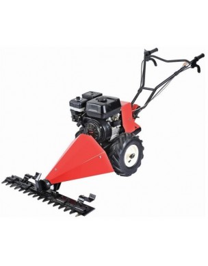 Motocoasa Stager GS 900